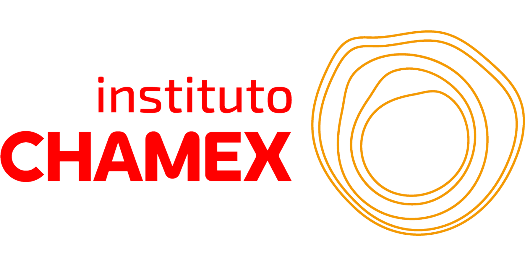 logo instituto chamex